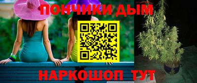 СК Боровичи