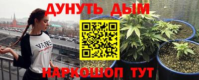 сатива Бердск